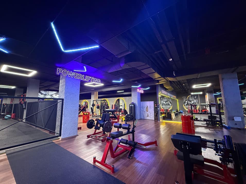 Gorilbey Gym - Eryaman Kaşmir 