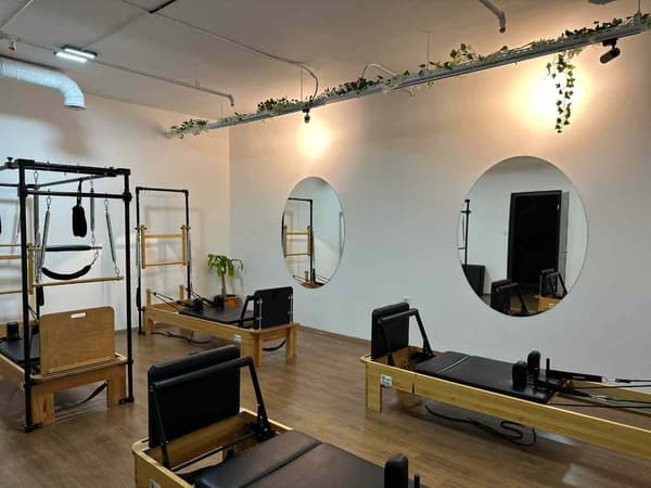 Cat GYM - 17. Fotoğraf