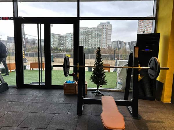 Cat GYM - 26. Fotoğraf