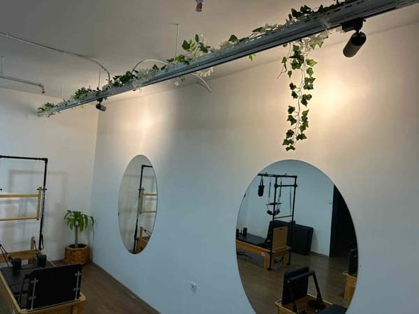 Cat GYM - 13. Fotoğraf
