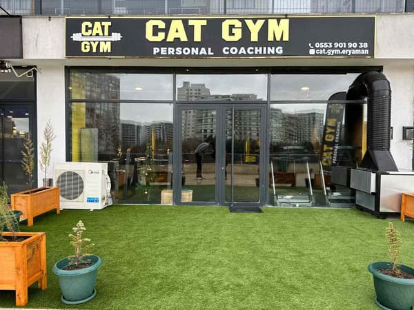 Cat GYM - 27. Fotoğraf