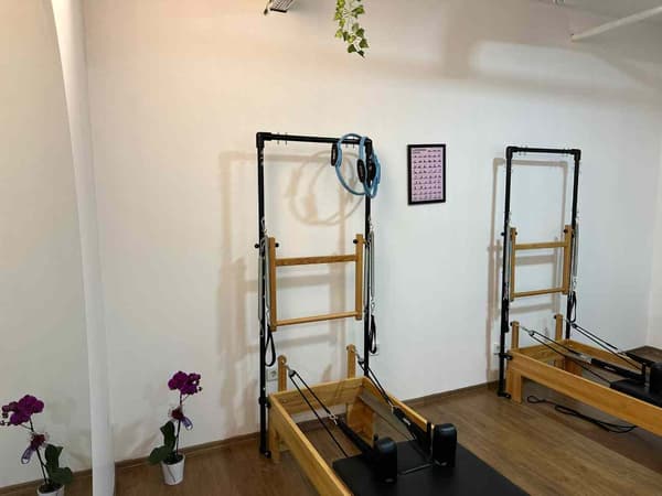 Cat GYM - 25. Fotoğraf